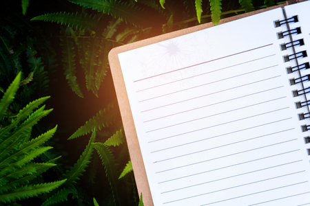 book on green leaf backgroundの写真素材