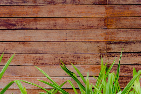 wood pattern and background texture