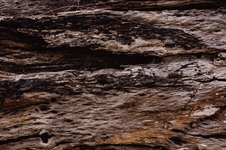 wood pattern and background texture