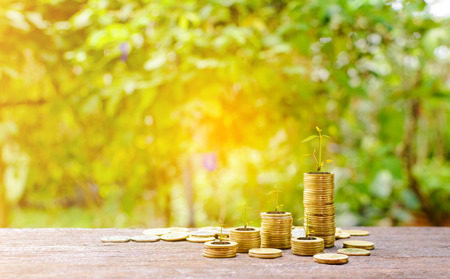 Growing silver coins and saving money step succeed bokeh backgroundの写真素材