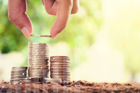 Growing saving money concept.Money management and Financial chart