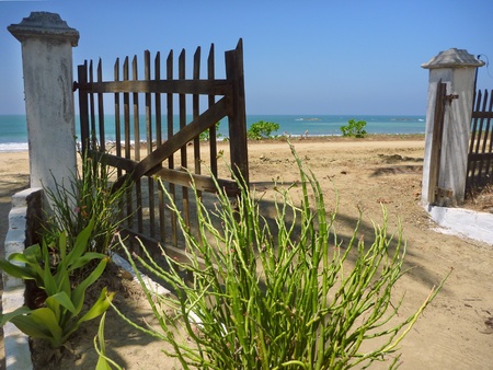  old gate on the beach with green succulent near itの写真素材