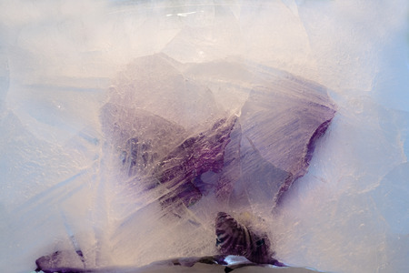 Frozen  fresh beautiful   flower of     iris  and air bubbles in the ice  cubeの写真素材