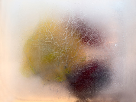 Frozen  fresh beautiful   flower of    aquilegia, geranium   and air bubbles in the ice  cubeの写真素材