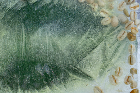 Background of    green coffee beans in leaf of ficus  in ice   cube with air bubblesの写真素材