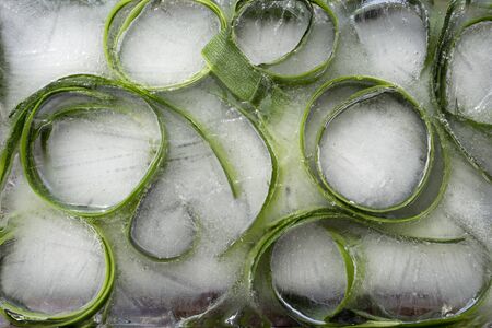 Background  skin and piece of  fresh szucchini   in ice   cube with air bubblesの写真素材