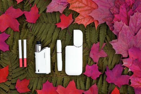 White IQOS battery  with  individual sticks, vape and cigarette  lies on  green leaves of fern and  yellow, red  maple. The concept of  various nicotine delivery systems -   new  electronic cigarette and traditional cigarette.の写真素材