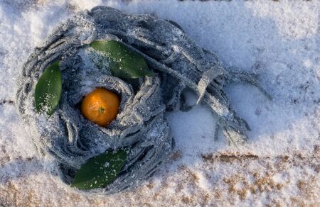 Clementines tangerines with leaves and scarf as Christmas decor over snow background. Top view, space. New Year cards and decorations.の写真素材