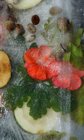 Background of    black coffee beans, red small apple, flower of pelargonium and red and green  leaves in ice   cube with air bubblesの写真素材