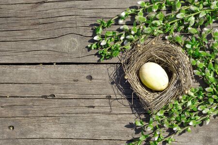 Easter composition  with yellow egg with pussy-willow  branch   on rustic wooden background の写真素材