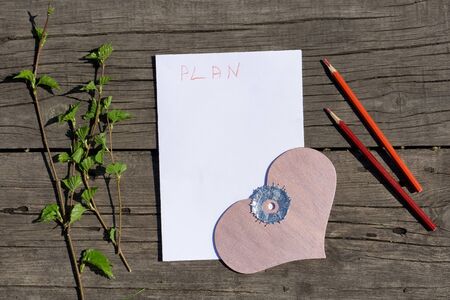 Spring white and green blooming branches and pink wooden  heart  on paper with word plan over rustic wooden background. Valentine's holiday greeting card for lady-killerの写真素材