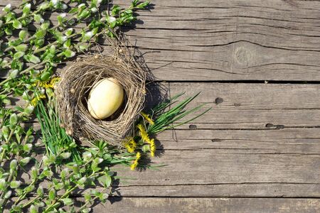 Easter composition  with yellow egg with pussy-willow  branch and green plants and flower  on rustic wooden background の写真素材