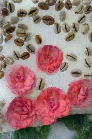 Background of  orange   balsamine and green coffee beans    in ice   cube with air bubbles. Flat lay consept for  springの写真素材