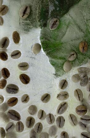 Background of  green leaves of coffee  and green coffee beans    in ice   cube with air bubbles. Flat lay consept for summer  coffeeの写真素材