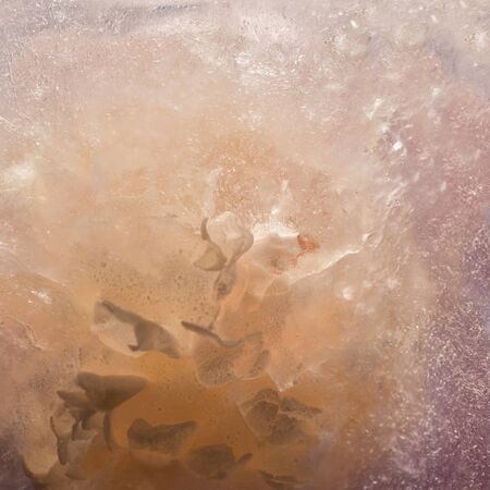 Background of   peony  flower    in ice   cube with air bubbles. Flat lay consept for  valentine's...