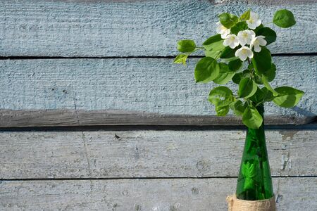 Creative top view apple tree blooming flowers brunch in green glass bottle  on  rustic wooden   background with copy space in minimal style, template for lettering, text or your designの写真素材