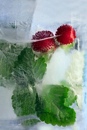 Background of  berry of dyusheneya, strawberry  in ice   cube with air bubbles. Flat lay consept for season   eco eat の写真素材