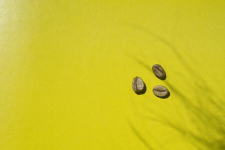 Background of    green coffee beans on yellow paper as background with shadowの写真素材