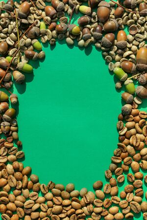 Flat lay  of   middle roasted  coffee beans and acorn on  green paper  as backgroundの写真素材