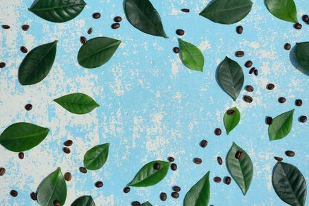  Flat lay  of   brown coffee beans, green leaf on blue wooden as background with shadowの写真素材