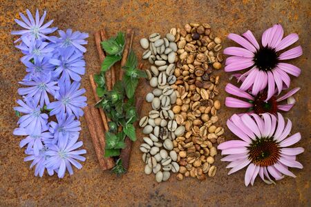 Flat lay  of  options roasting types and mint, cinnamon, chicory, echinacea  on  rustic iron  backgroundの写真素材