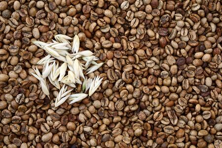 Flat lay  of medium roas bean coffee as background with  oats as milk replacerの写真素材