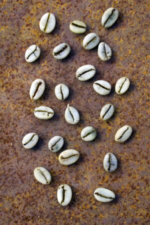 Background of    green coffee beans on rustic iron as backgroundの写真素材