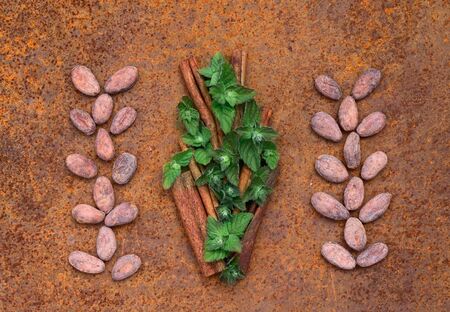 Cocoa flat lay  concept with raw cocoa beans , leaf of mint and twig of cinnamon as  ingredien for recipe  on iron  background, top viewの写真素材