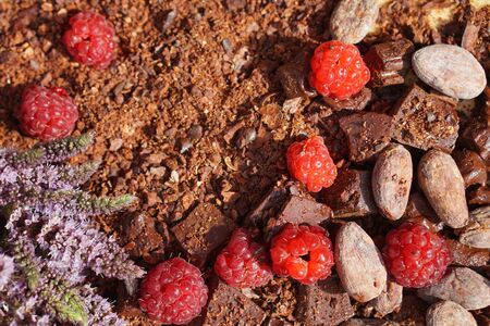  Flat lay  of Raw cocoa beans,  cocoa powder, chocolate on sacking  with mint and flower, raspberry,...