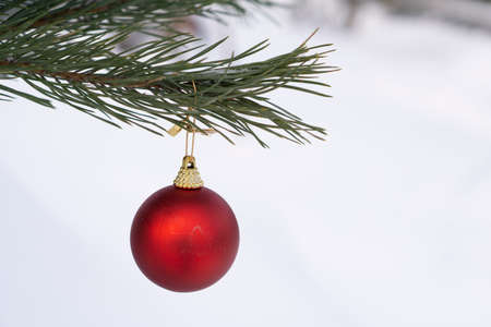 Christmas tree and ball on background with snow. Christmas and New year decorations or greeting card.の写真素材