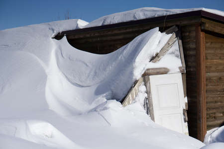 Newly snow as Background with wooden door in garden