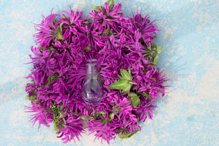 perfume bottle with violet bergamot flower on blue wooden backgroundの写真素材