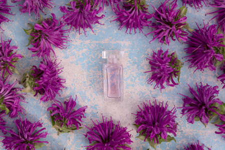 perfume bottle with violet bergamot flower on blue wooden backgroundの写真素材