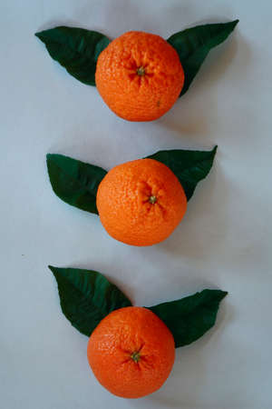 Clementines tangerines, green leaves as spring decor on gray paper background.の写真素材