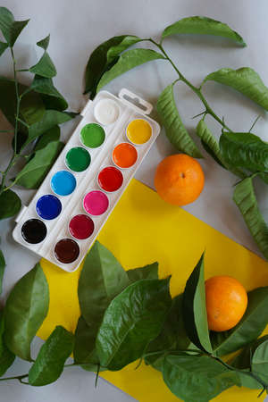 consept for colors of nature: Clementines tangerines, twig with green leaves as spring decor and new paints on yellow and gray paper background.の写真素材