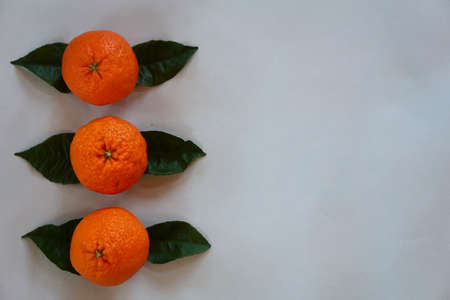 Clementines tangerines, green leaves as spring decor on gray paper background.の写真素材
