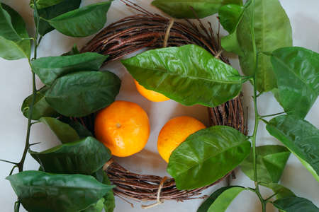 Clementines tangerines, twig with green leaves as spring decor and handmade wreath from twig on gray paper background.の写真素材