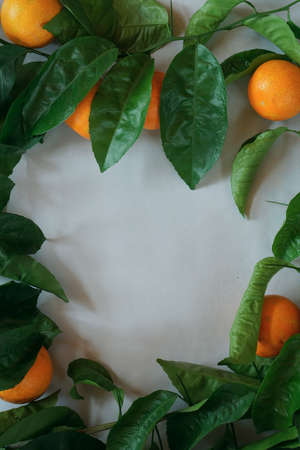Clementines tangerines and twig with green leaves as spring decor on gray paper background.