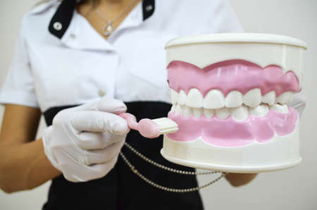 dentist teaches how to brush your teeth correctlyの写真素材
