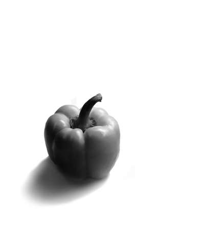 black and white pepper on the white backgroundの写真素材
