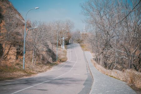 road in the park with a bike path