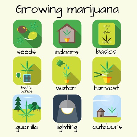 Marijuana growing icon set. Vector illustration in flat style.のイラスト素材