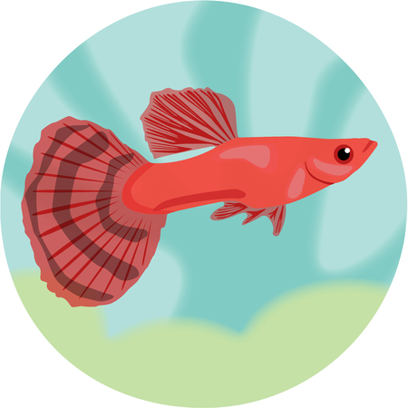 Guppy Royalty Free Stock Illustrations And Vectors Stocklib