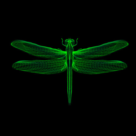Green dragonfly. 3d hologram x-ray style vector illustration for prints, bag, tatto or t-shirt. Black background. Eps 10.のイラスト素材