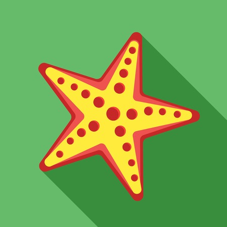 Starfish. Vector illustration in flat designのイラスト素材