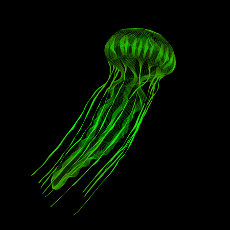 Green jellyfish. 3d hologram x-ray style vector illustration for prints, bag, tatto or t-shirt. Black background. Eps 10.のイラスト素材