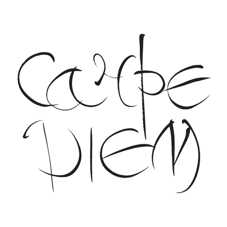 Carpe diem. Latin quote translation seize the moment. Typographic handwritten print poster. Lettering calligraphic vector illustration. Motivational, inspirational quote for your business and design.のイラスト素材