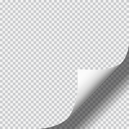 Page curl with shadow on blank sheet of paper. White paper sticker. Element for advertising and promotional message isolated on transparent background.のイラスト素材