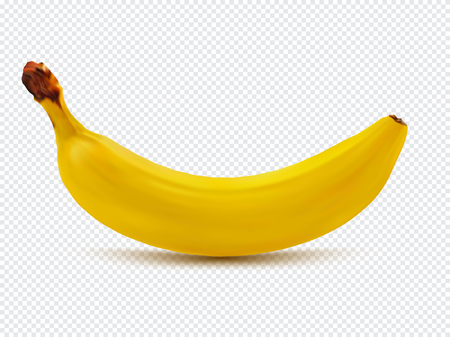 Banana realistic image with transparent shadow vector illustration isolated on plaid white backgroundのイラスト素材
