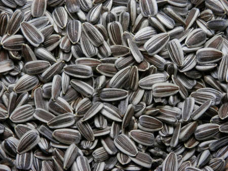 Sunflower seeds